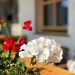 646 Appartement *